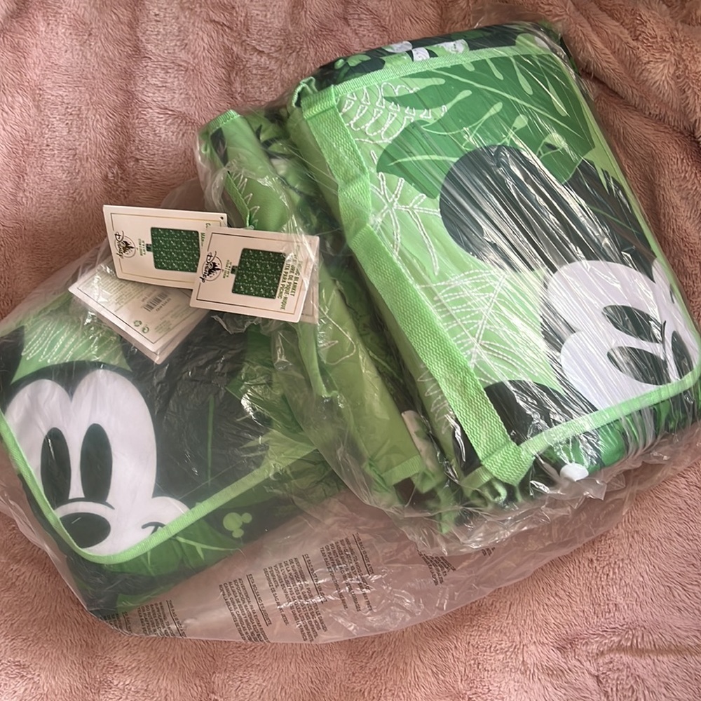 NWT Disney green picnic blanket - Picture 3 of 4